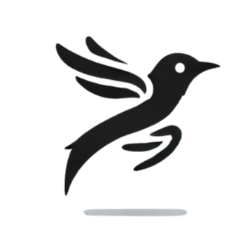 מותג בגדי ספורט לנשים - missbellafits